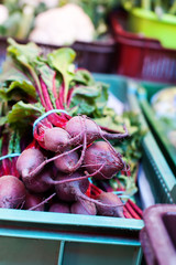 Bunch of beetroots - 76026030
