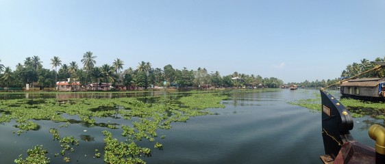 Obraz premium Backwaters of Kerala, India