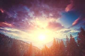 Colorful autumn landscape