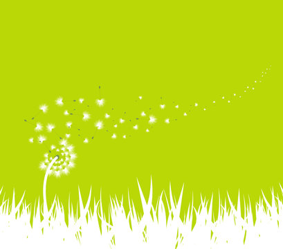 spring with dandelion background