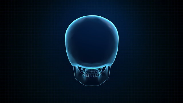 Hitech 3D Animation of Human skull blue Loopable. Alpha matte