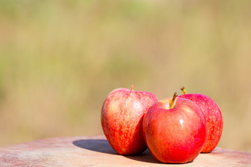 Apples on wooden block on meadow background