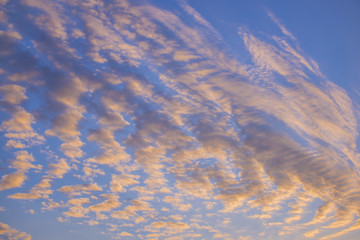 Close up fluffy clouds during sunset after rain