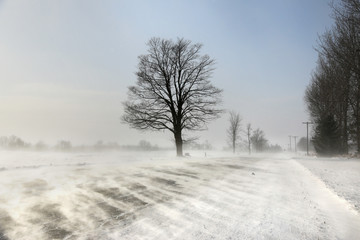 Drifting snow across the road. Winter landscape, Ontario, Canada