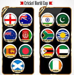 Cricket 2015 match schedule, cricket world cup team  vector