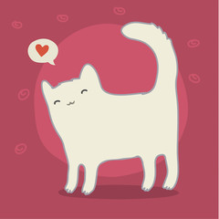 Cute white cat on pink
