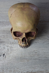 Human Skull on wooden Table