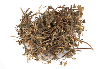 Han Liang Cao or botanical name Eclipta Prostrata