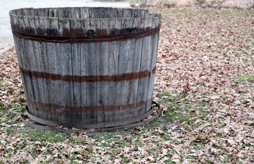 tub to pick the grapes during the harvest and wine making