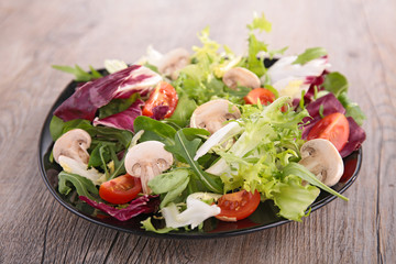vegetable salad