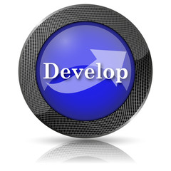 Develop icon