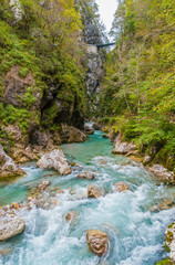 Tolmin gorge, nature, Slovenia
