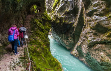 Tolmin gorge, nature, Slovenia - 76038672