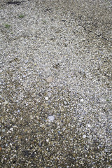 Small stones floor