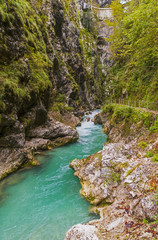 Tolmin gorge, nature, Slovenia