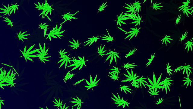 Falling cannabis leaves on dark blue