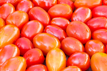 Fresh cherry tomatoes background