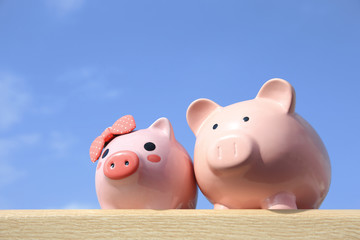 Pink piggy bank couple
