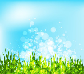 Fototapeta premium spring background