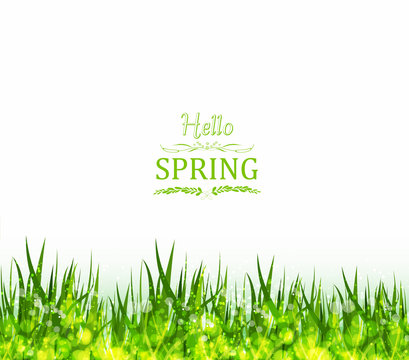 hello spring background with grass