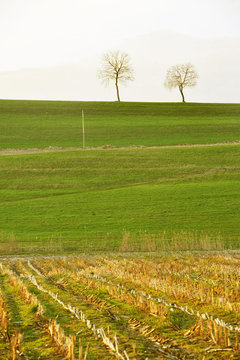 paesaggio bellunese