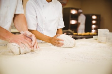 Obraz na płótnie Canvas Team of bakers kneading dough
