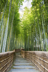 Bamboo forest walkway near adashinonenbutsuji temple, Kyoto © davidevison