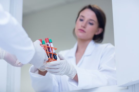 Biologist Giving Blood Sample To His Colleague