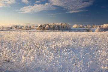 Rural winter landscape with white frost on field and forest