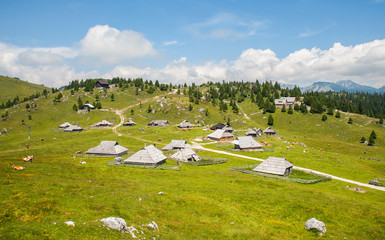 Velika Planina hill, Slovenia