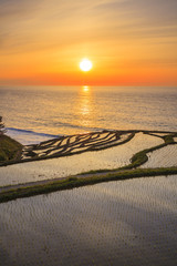 Fototapeta premium Rice terraces at sunset, Shiroyone senmaida
