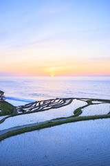 Rice terraces at sunset, Shiroyone senmaida