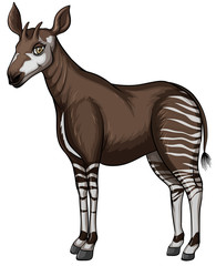 Okapi