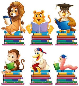 Animals and books
