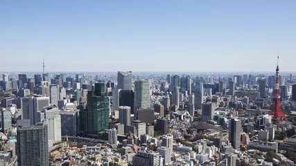 Foto op Plexiglas Tokyo Tower and city skyline in Tokyo, Japan © davidevison