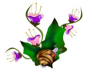 chiocciola