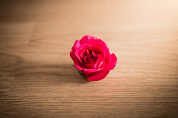 roses on wooden background