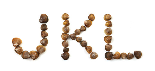 Handwritten modiola typeface on white background