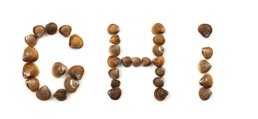 Handwritten modiola typeface on white background