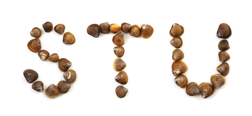 Handwritten modiola typeface on white background