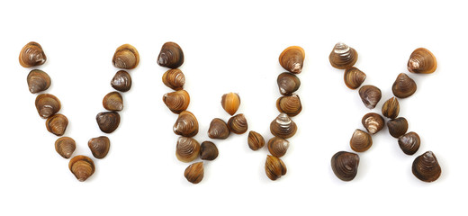 Handwritten modiola typeface on white background