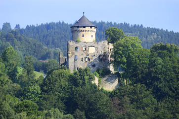 Fototapeta na wymiar Austria, castle Wildberg