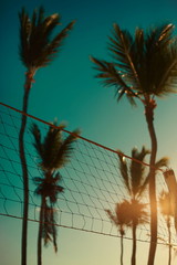 Volleyballnetz am Strand und Palmen hinter blauem Sommerhimmel © halayalex