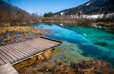 Sava spring, Zelenci, Slovenia