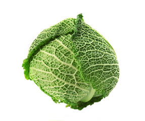 Savoy cabbage isolated on white background