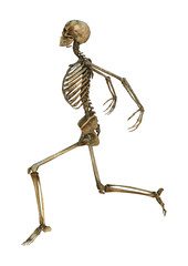 Dancing Skeleton