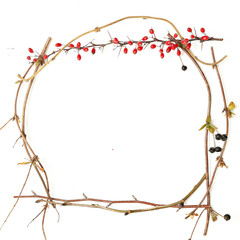 Frame of branches on white background
