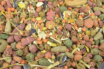 Rabbit Food