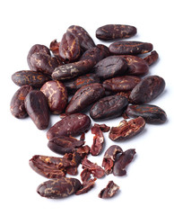 Dried cacao beans