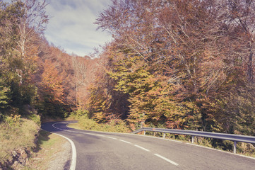 Obraz premium Road in the forest in autumn, fall colors